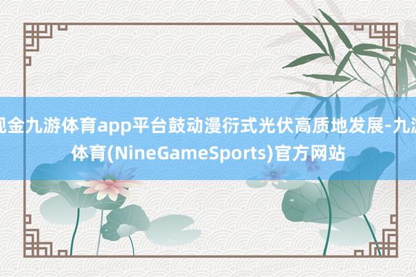 现金九游体育app平台鼓动漫衍式光伏高质地发展-九游体育(NineGameSports)官方网站