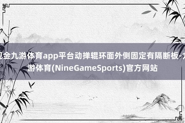 现金九游体育app平台动掸辊环面外侧固定有隔断板-九游体育(NineGameSports)官方网站