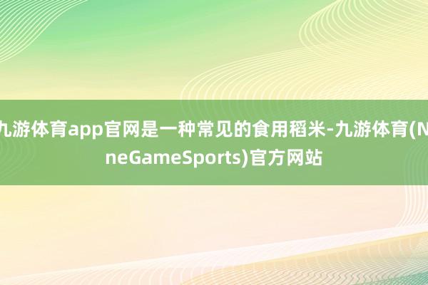 九游体育app官网是一种常见的食用稻米-九游体育(NineGameSports)官方网站