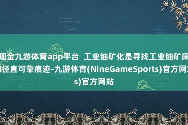 现金九游体育app平台  工业铀矿化是寻找工业铀矿床的径直可靠痕迹-九游体育(NineGameSports)官方网站