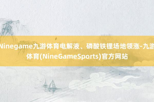 Ninegame九游体育电解液、磷酸铁锂场地领涨-九游体育(NineGameSports)官方网站